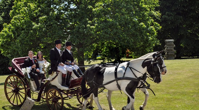 Old Forde House wedding Horse and carrriage on the grounds of Old Forde House