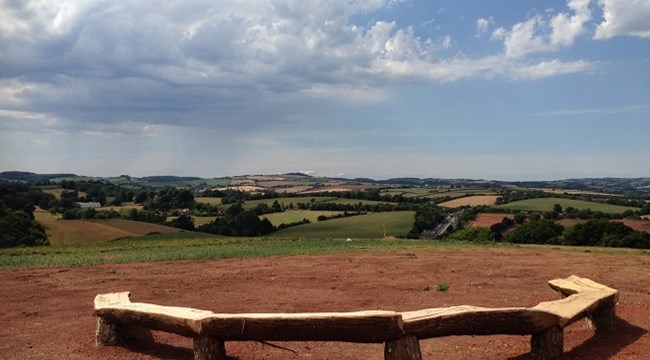 View from a bench of green space