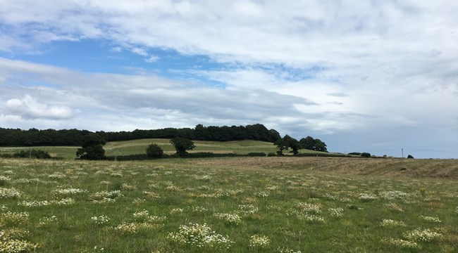 Landscape view of Dawlish Countryside Park